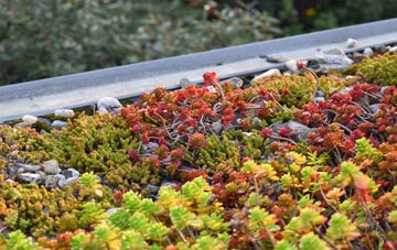 the cost of Buttsbury green roof installation