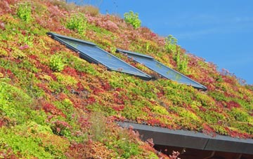 Buttsbury living roof systems